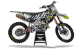 Zebra Kawasaki
