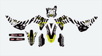 Zebra Kawasaki